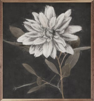 Fable Lotus 1 By Nina Blue